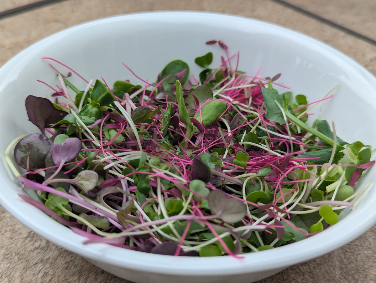 microgreens