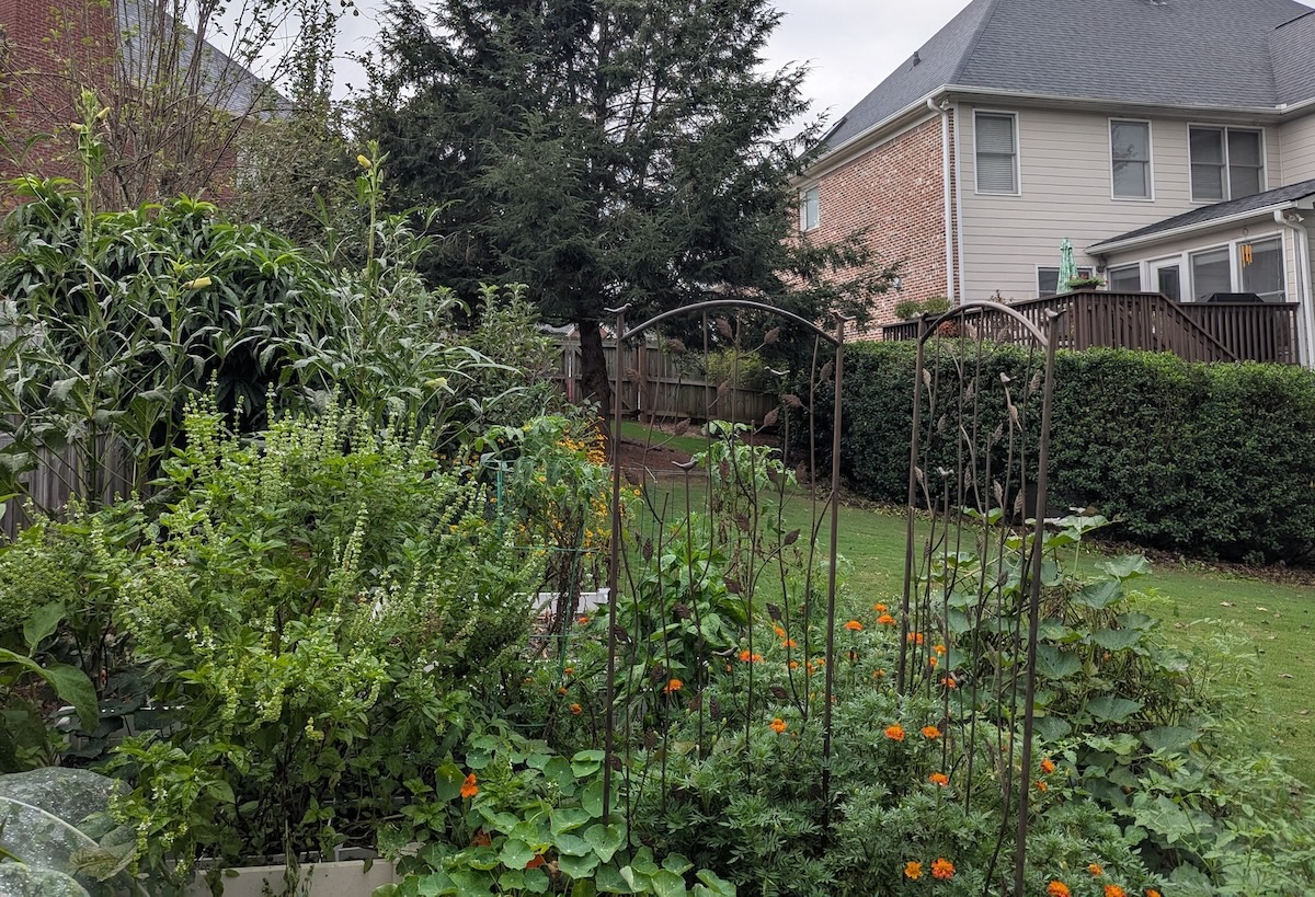 veggie bed
